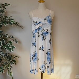 Maacie Women’s Floral Blue and White Dress Size Large